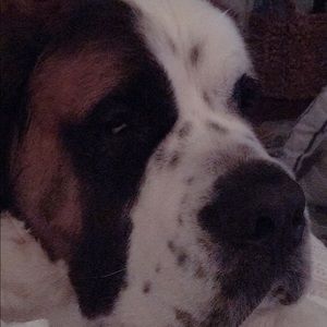 Meet your Posher, Gillian